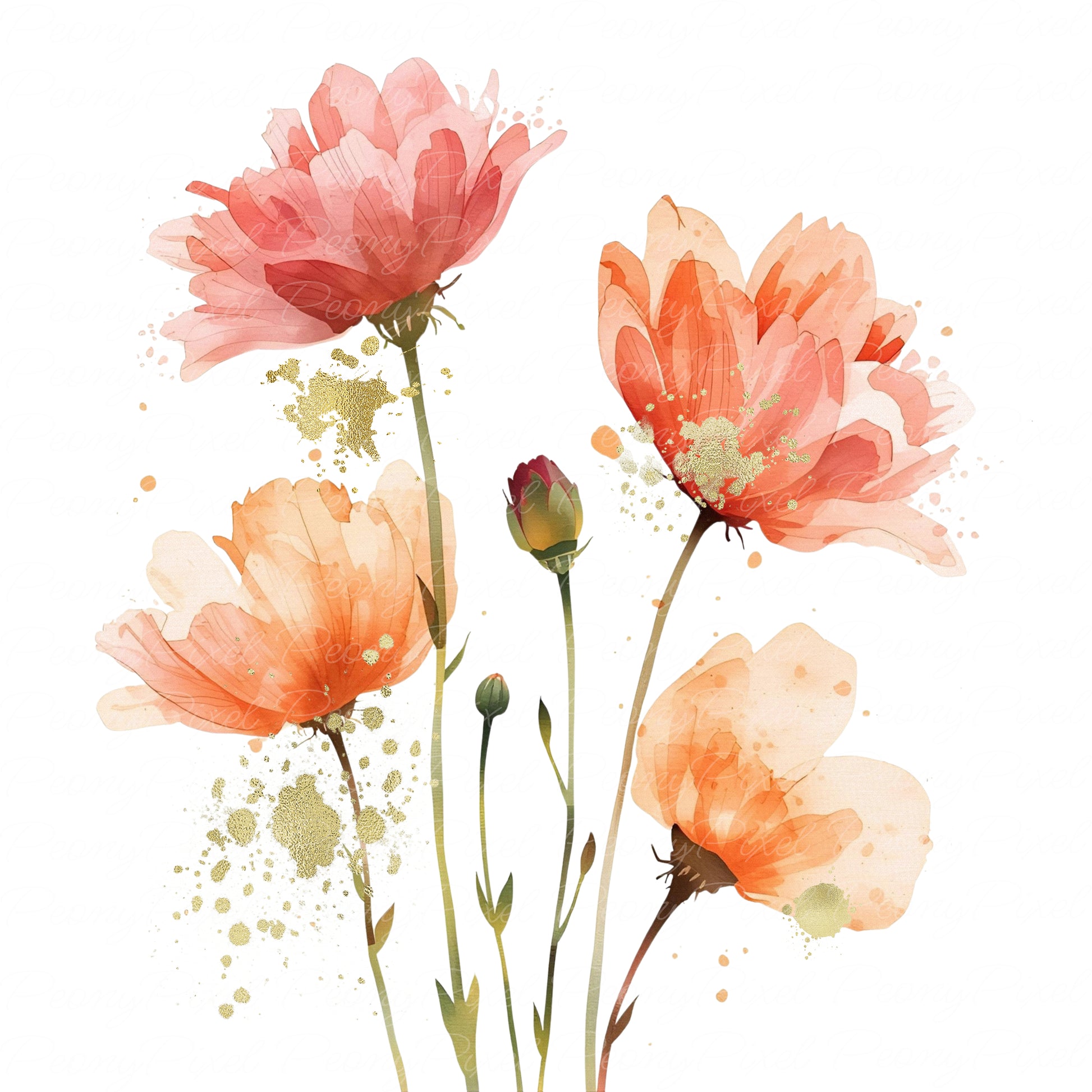 Watercolor botanical flower clipart with gold brushstroke accents